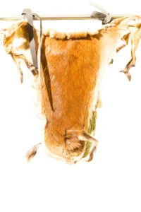 Majobo