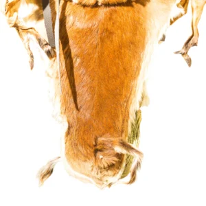 Majobo